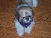 100_0127.JPG