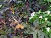 100_1428.JPG