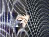 100_1467.JPG