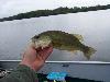 100_1396.JPG