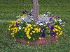 100_1314.JPG