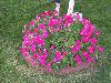 100_1317.JPG