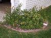 100_1328.JPG
