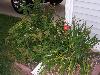 100_1329.JPG