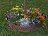 100_1335.JPG