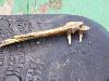 100_1278.JPG