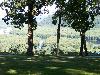 100_1350.JPG