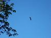 100_1364.JPG