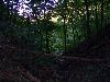 100_1380.JPG