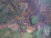 100_0685.JPG