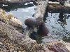 100_0689.JPG