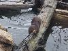 100_0692.JPG