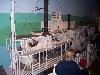 100_0720.JPG