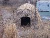 100_0763.JPG
