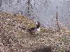 100_0774.JPG