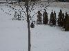 100_1728.JPG
