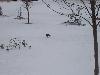 100_1729.JPG
