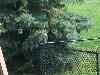 100_2666.JPG