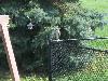 100_2667.JPG