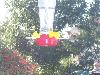 100_2757.JPG