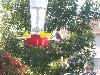 100_2759.JPG