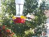100_2760.JPG