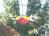 100_2761.JPG