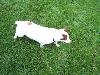 100_2275.JPG