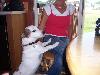 100_2323.JPG