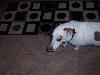 100_2364.JPG