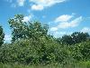 100_2713.JPG