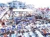 100_2855.jpg