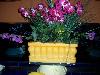 100_2926.jpg