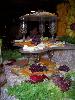 100_2937.jpg