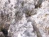 100_2958.jpg