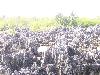 100_2961.jpg