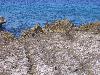 100_2974.jpg