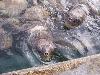 100_2995.jpg