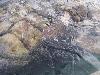 100_2996.jpg