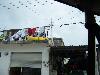 100_3041.jpg