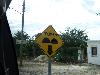 100_3068.jpg