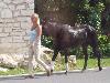 100_3073.jpg