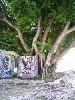 100_3080.jpg