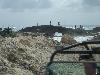 100_3106.jpg