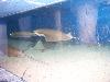 100_3130.jpg
