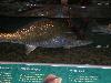 100_3146.jpg