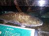 100_3147.jpg