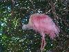 100_3151.jpg