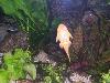 100_3160.jpg