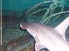 100_3170.jpg
